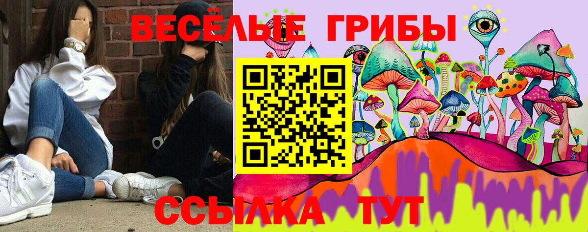 Домодедово  Галлюциногенные грибы Psilocybine cubensis  Вход с VPN 
