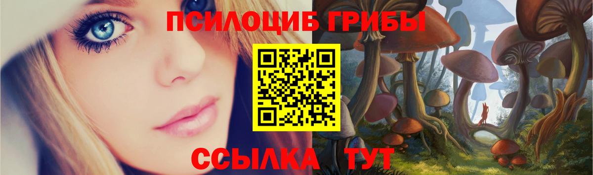 Псилоцибиновые грибы Psilocybe Домодедово